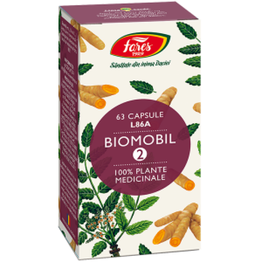 Biomobil2-3D-linea-noua-300x300-1.png