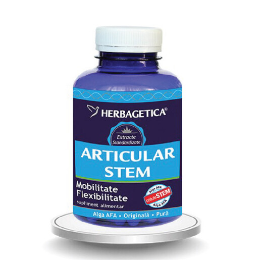 Articular Stem 120
