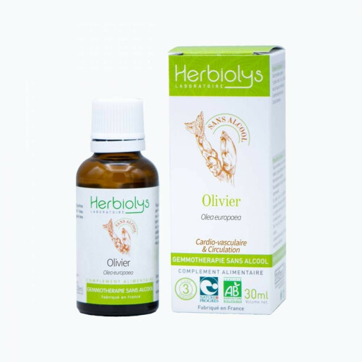 Extract muguri maslin BIO 30ml fara alcool, HERBIOLYS