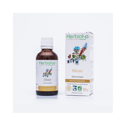 Tinctura maslin BIO 50ml, HERBIOLYS