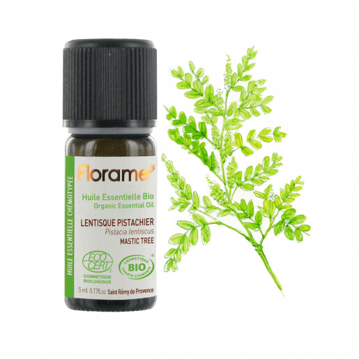 Ulei esential arbore de mastic BIO 5ml, FLORAME