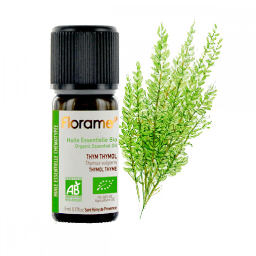 Ulei esential cimbru timol BIO 5ml, FLORAME
