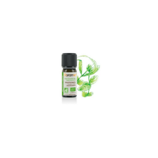 Ulei esential eucalipt radiata BIO 10ml, FLORAME