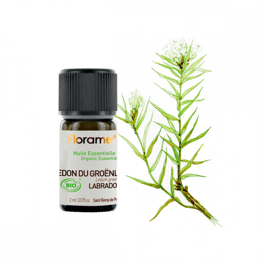 Ulei esential ledon de Groenlanda  BIO 2ml, FLORAME