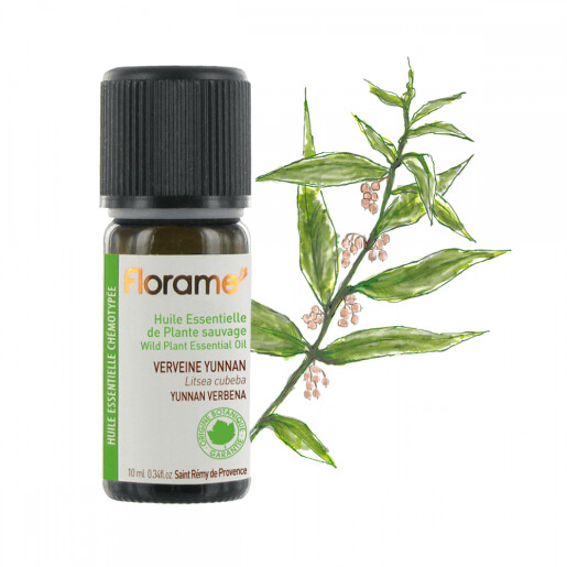 Ulei esential verbina yunnan salbatica 10ml, FLORAME