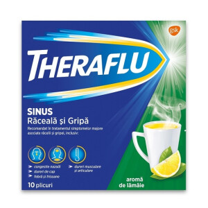 Theraflu Sinus Raceala si Gripa, 10 plicuri, GSK