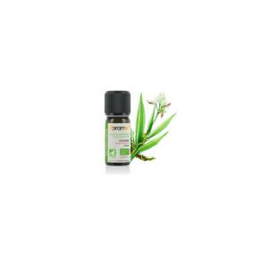 Ulei esential de ghimbir BIO 5ml, FLORAME
