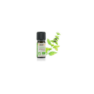 Ulei esential menta de camp BIO 10ml, FLORAME