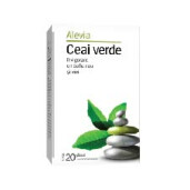 Ceai verde 20 plicuri