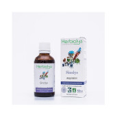 Complex sinusuri BIO 50ml, HERBIOLYS