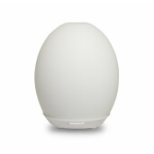 Difuzor ultrasonic din sticla cu lumina, FLORAME