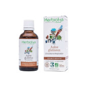 Extract muguri de arin negru BIO 50ML, HERBIOLYS