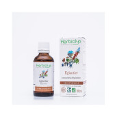 Extract muguri maces BIO 50ml, HERBIOLYS