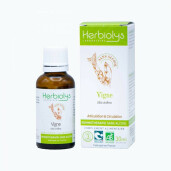 Extract muguri vita de vie BIO 30ml fara alcool, HERBIOLYS