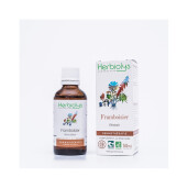 Extract muguri zmeur BIO 50ml, HERBIOLYS