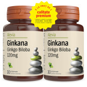 Ginkana Ginkgo Biloba 120mg, 30+30 comprimate, Alevia