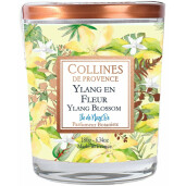 Lumanare parfumata Floare de ylang 180g, COLLINES DE PROVENCE