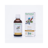 Tinctura maslin BIO 50ml, HERBIOLYS