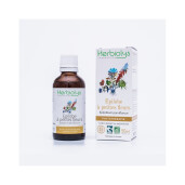 Tinctura dracila BIO 50ml, HERBIOLYS