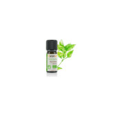 Ulei esential busuioc dulce francez BIO 5ml, FLORAME