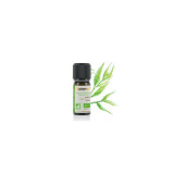Ulei esential cajeput BIO 10ml, FLORAME