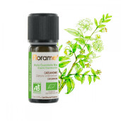 Ulei esential cardamom BIO 5ml, FLORAME