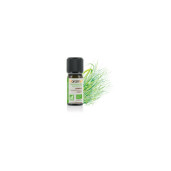 Ulei esential citronela BIO 10ml, FLORAME