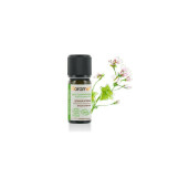 Ulei esential geranium african BIO 5ml, FLORAME
