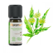 Ulei esential iary BIO 10ml, FLORAME