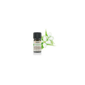 Ulei esential iasomie CONV. 1ml, FLORAME