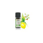 Ulei esential lamaie distilata BIO 10ml, FLORAME