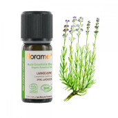 Ulei esential lavanda aspic BIO 10ml, FLORAME