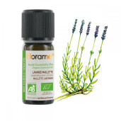 Ulei esential lavanda maillette BIO 10ml, FLORAME