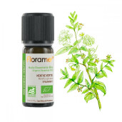 Ulei esential menta verde BIO 5ml, FLORAME
