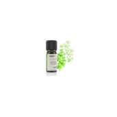 Ulei esential oregano compact (Maroc) BIO 5ml, FLORAME
