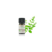 Ulei esential melisa (roinita) BIO 1ml, FLORAME