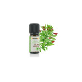 Ulei esential santal amyris salbatic 10ml, FLORAME
