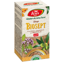 Biosept sirop cu miere si propolis, A13 100 ml,Fares