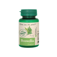 Boswellia, 60 comprimate, Dacia Plant