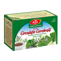 Ceai Circulatie cerebrala, N131, 20 plicuri, Fares