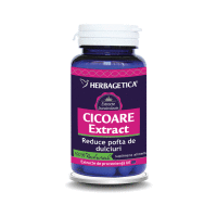 Cicoare Extract, 60 capsule, Herbagetica