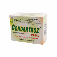 Condartroz Plus, 60 comprimate, Hofigal