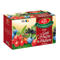 Ceai cu goji si fructe de padure, 20 plicuri, Fares