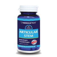 Articular Stem, 60 capsule, Herbagetica