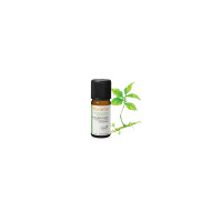 Ulei esential perisor procumbens BIO 10 ml, FLORAME