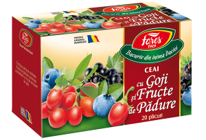 Goji-Fructe-Padure-300x204-1.png