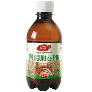 Muguri-Pin-R12-300x300-1.png